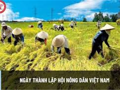 Ngày Thành Lập Hội Nông Dân Việt Nam: Văn Phòng Nhà Đất Văn Minh Và Sự Tôn Vinh Người Nông Dân